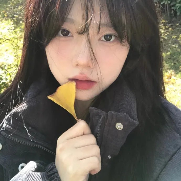 秋田犬蓬夫
